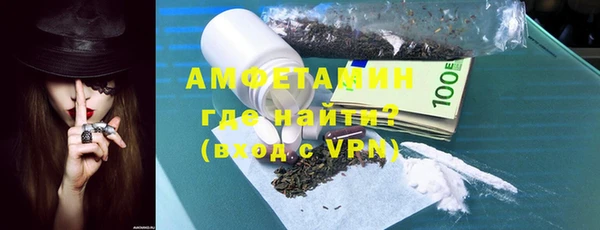 мдпв Каменка