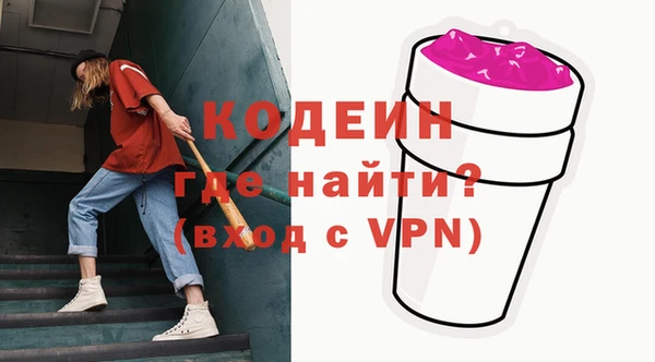 мдпв Каменка