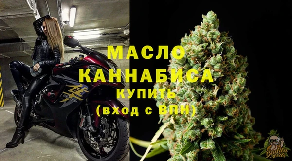 мдпв Каменка