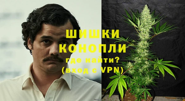мдпв Каменка