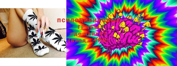 мдпв Каменка