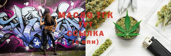 мдпв Каменка