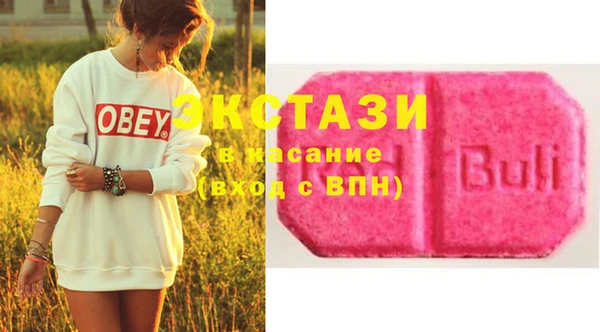 мдпв Каменка