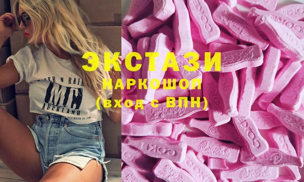 мдпв Каменка
