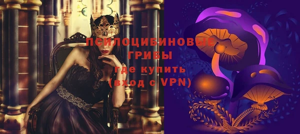 мдпв Каменка