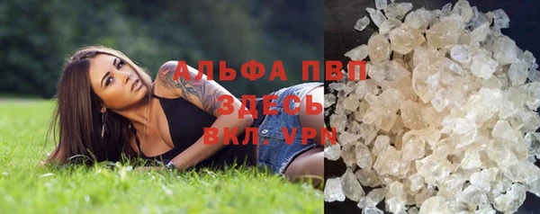 мдпв Каменка