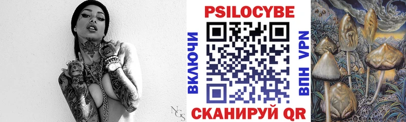 Купить  Зверево  Псилоцибиновые грибы Psilocybine cubensis 